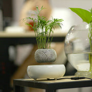Levitating Rotating Potted Plant - Creative Gift Furniture Decoration - Electronicaly
